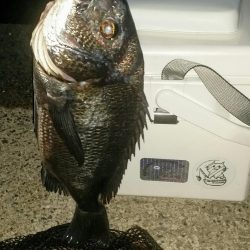 くろねこ流紀州釣りに挑戦！！